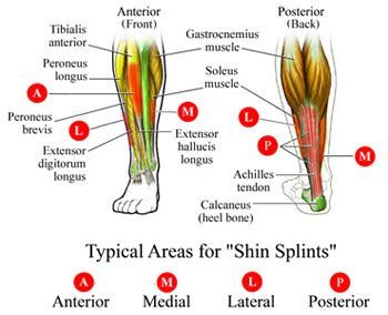 Shin splints achilles on sale tendonitis